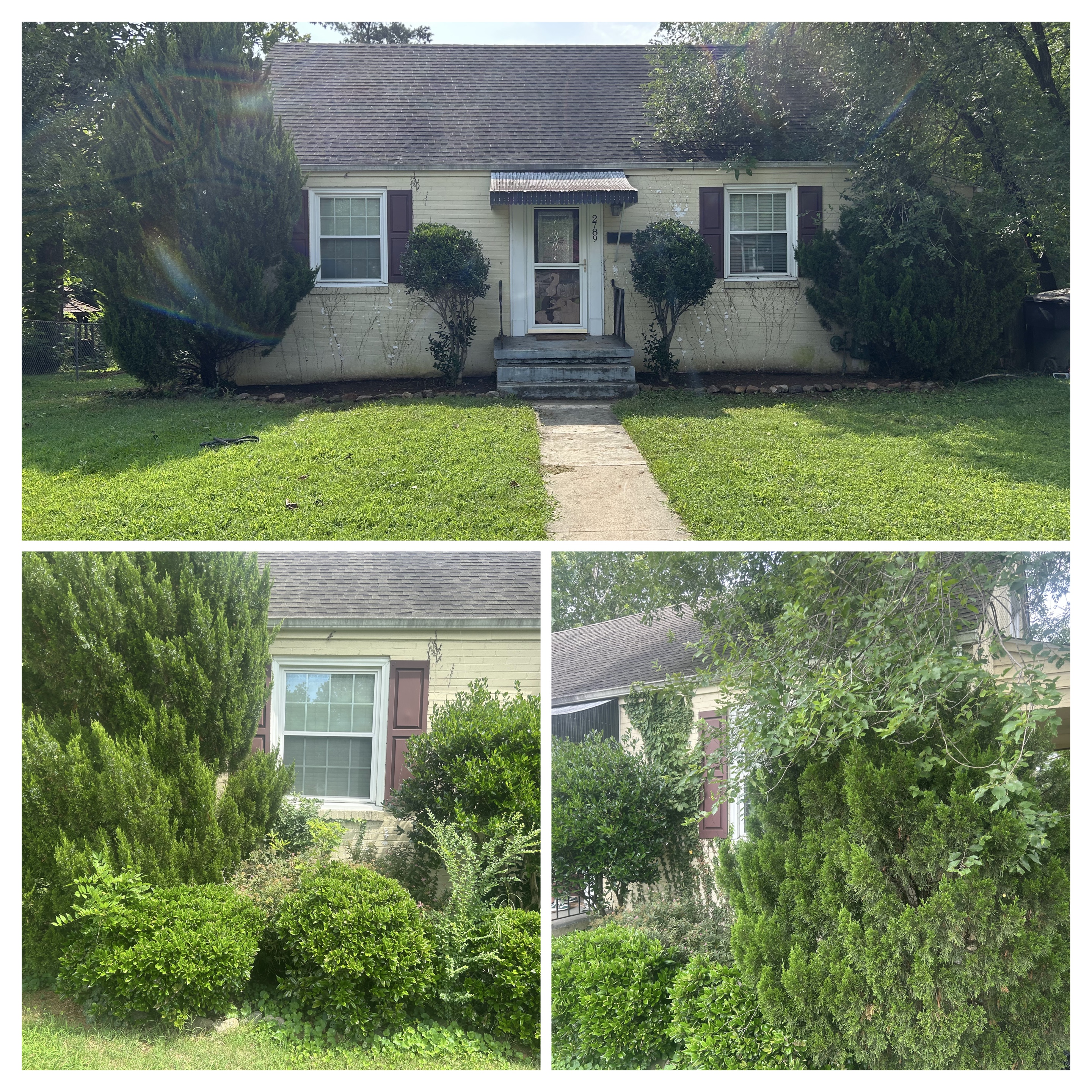 Lawn care and landscaping work